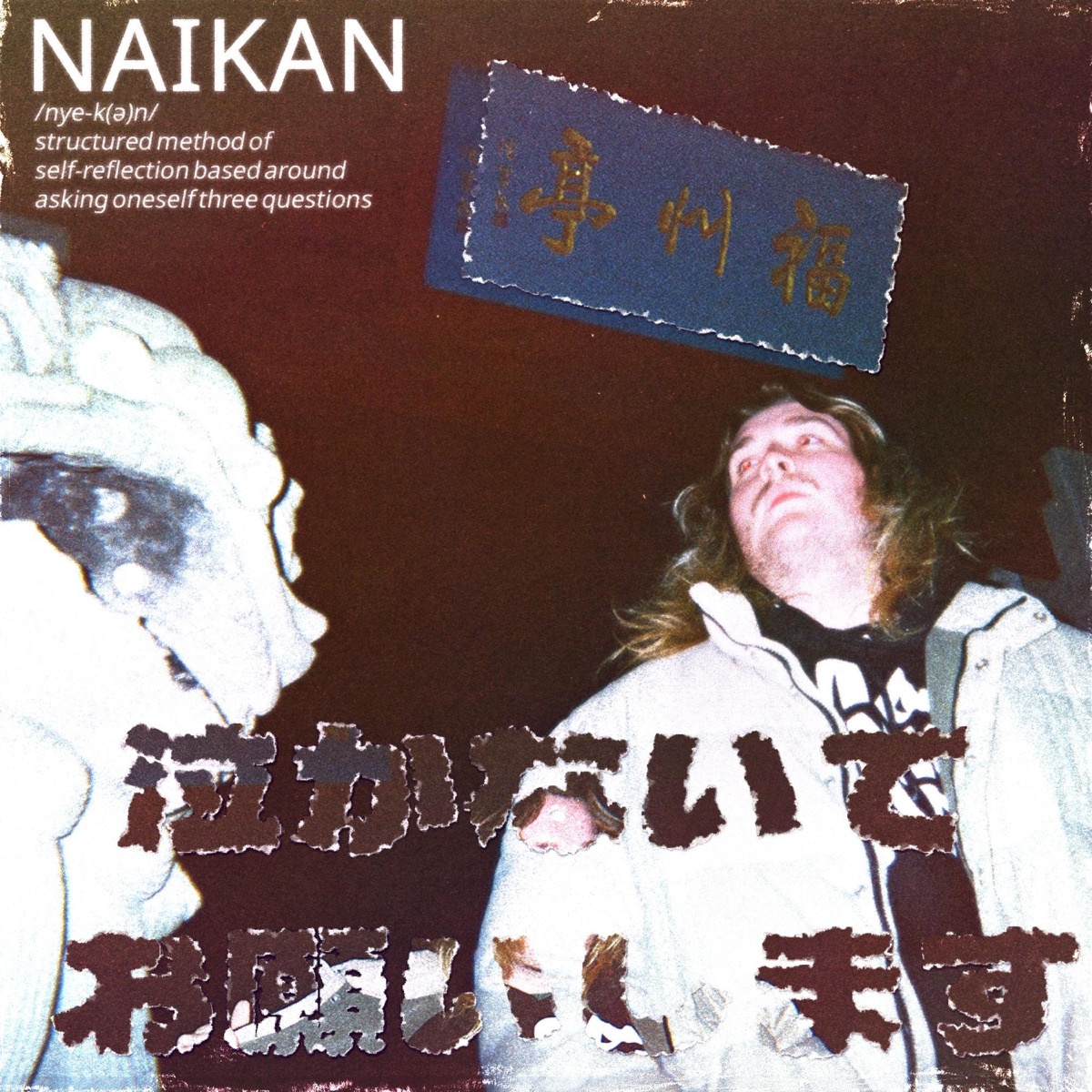 NAIKAN by Dont Cry Please album cover