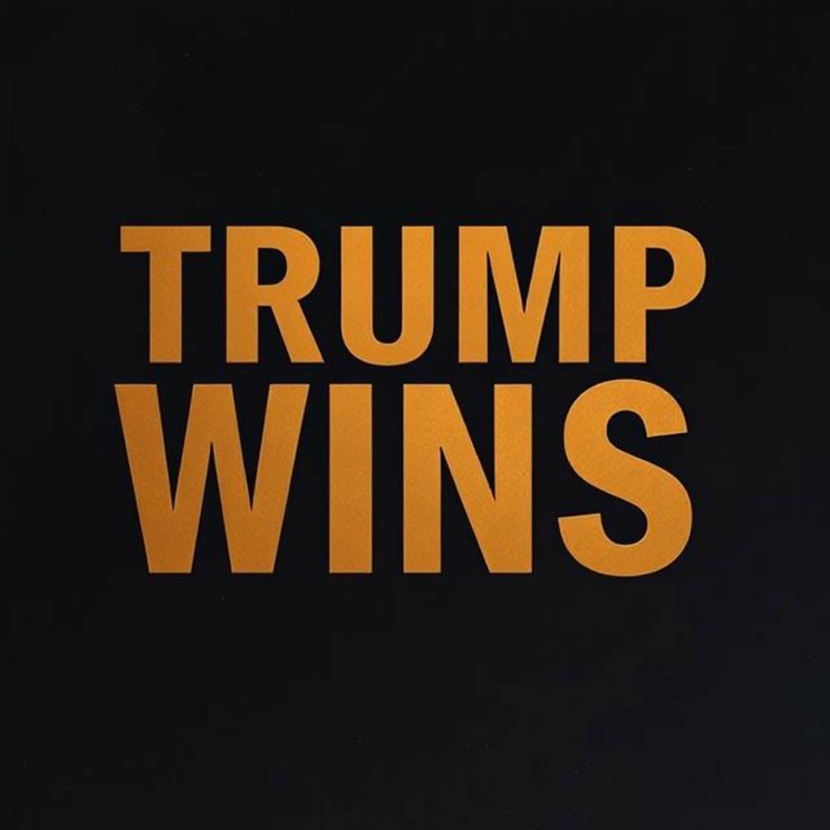 Trump Wins (feat. Trump The Don) - Single by Teflon Don album cover