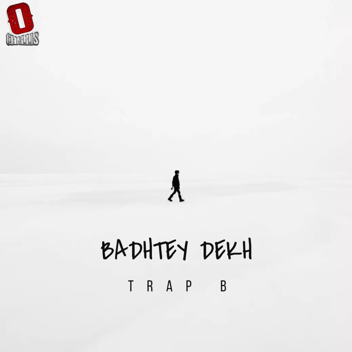 Badhtey Dekh - Single by Zero Challis & Trap B album cover