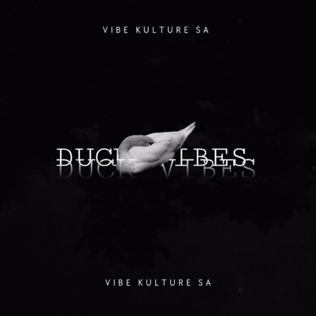 Duck Vibes - Single by Vibekulture Sa album cover