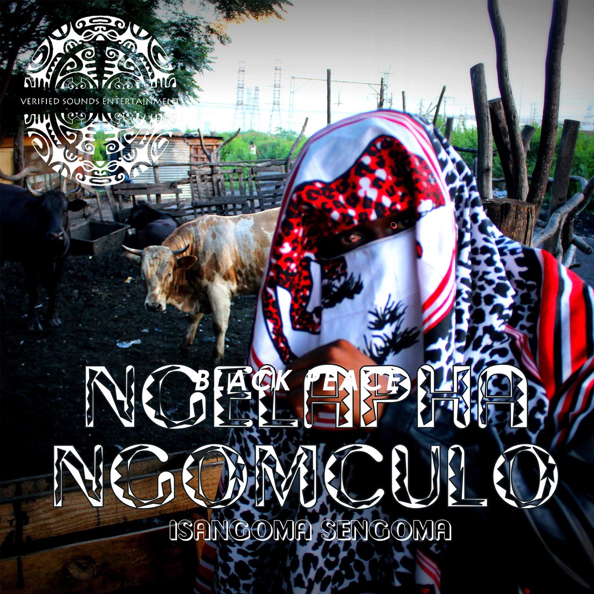 Ngelapha Ngomculo by Isangoma Sengoma album cover
