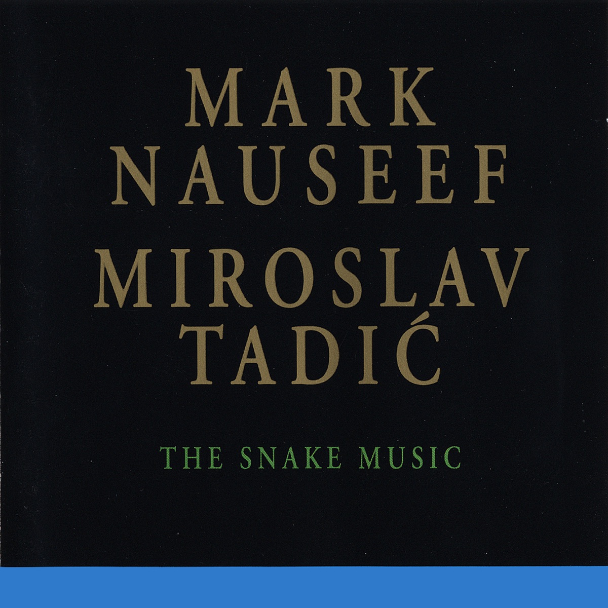 The Snake Music by Mark Nauseef, Miroslav Tadic & Jack Bruce album cover