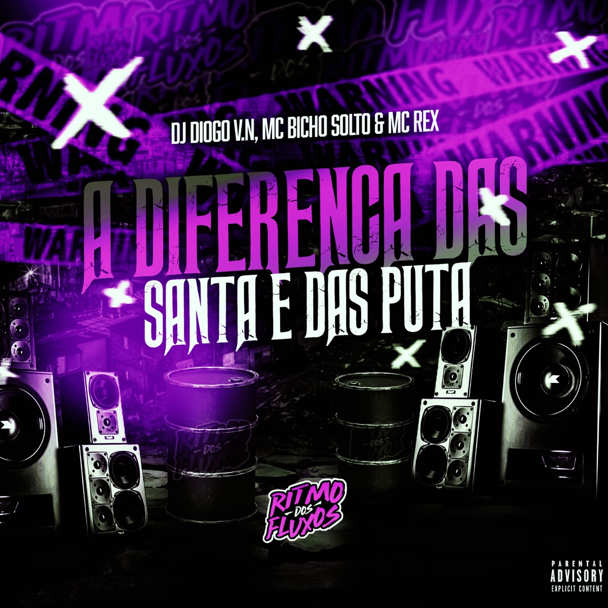 A Diferença das Santa e das Puta - Single by MC Bicho Solto, DJ Diogo V.N & mc rex album cover