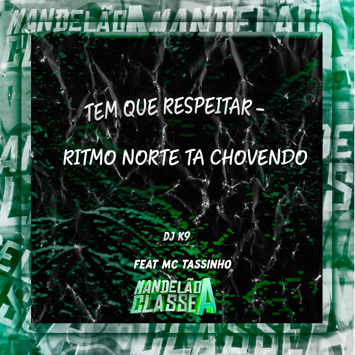 Tem Que Respeitar - Ritmo Norte Ta Chovendo (feat. Mc Tassinho) - Single by DJ K9 album cover