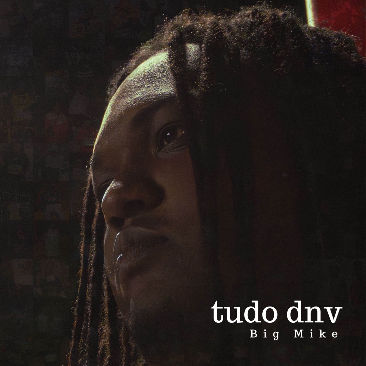tudo dnv - Single by Big Mike & IWally album cover