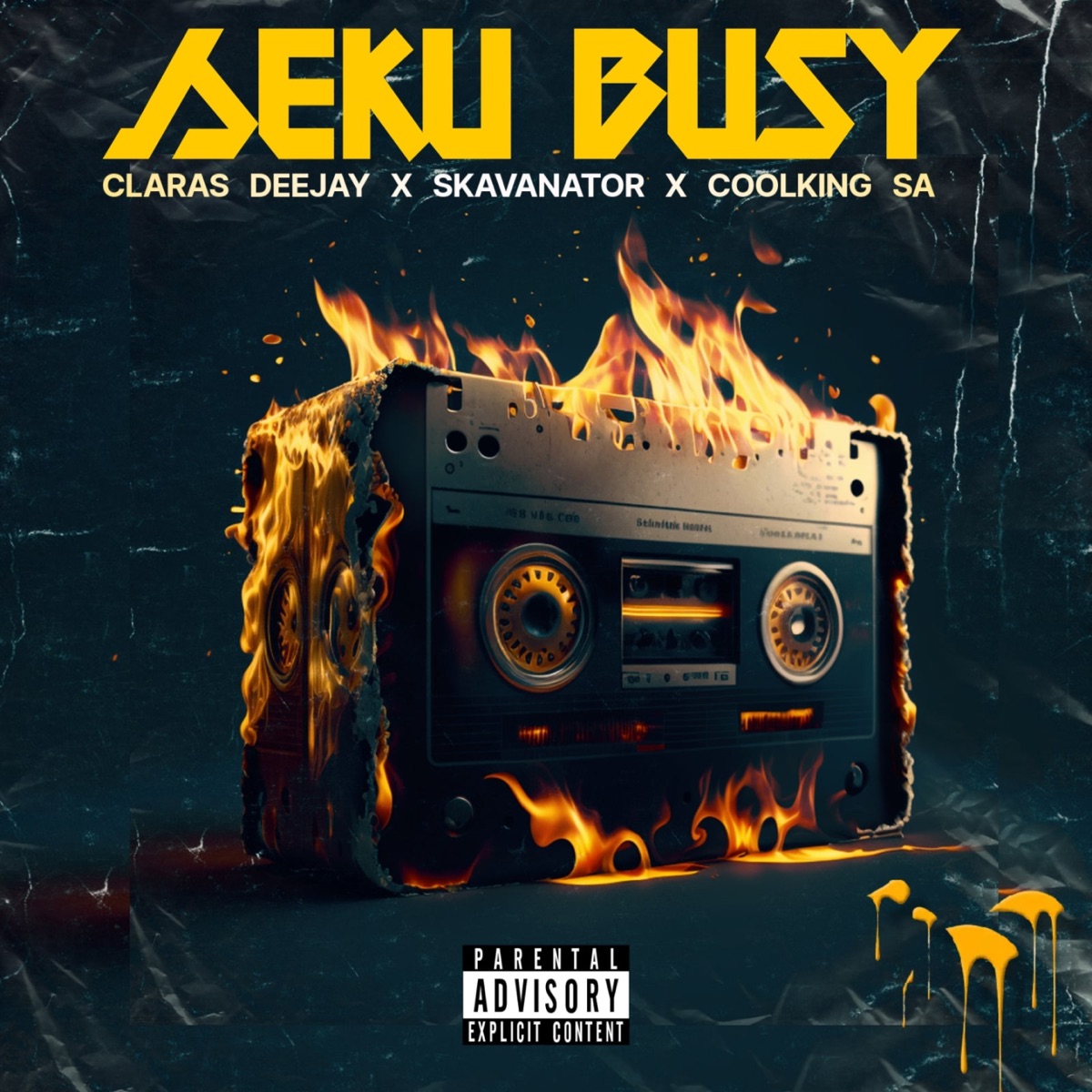 Seku Busy - Single by SkavaNator, Claras DeeJay & Coolking SA album cover