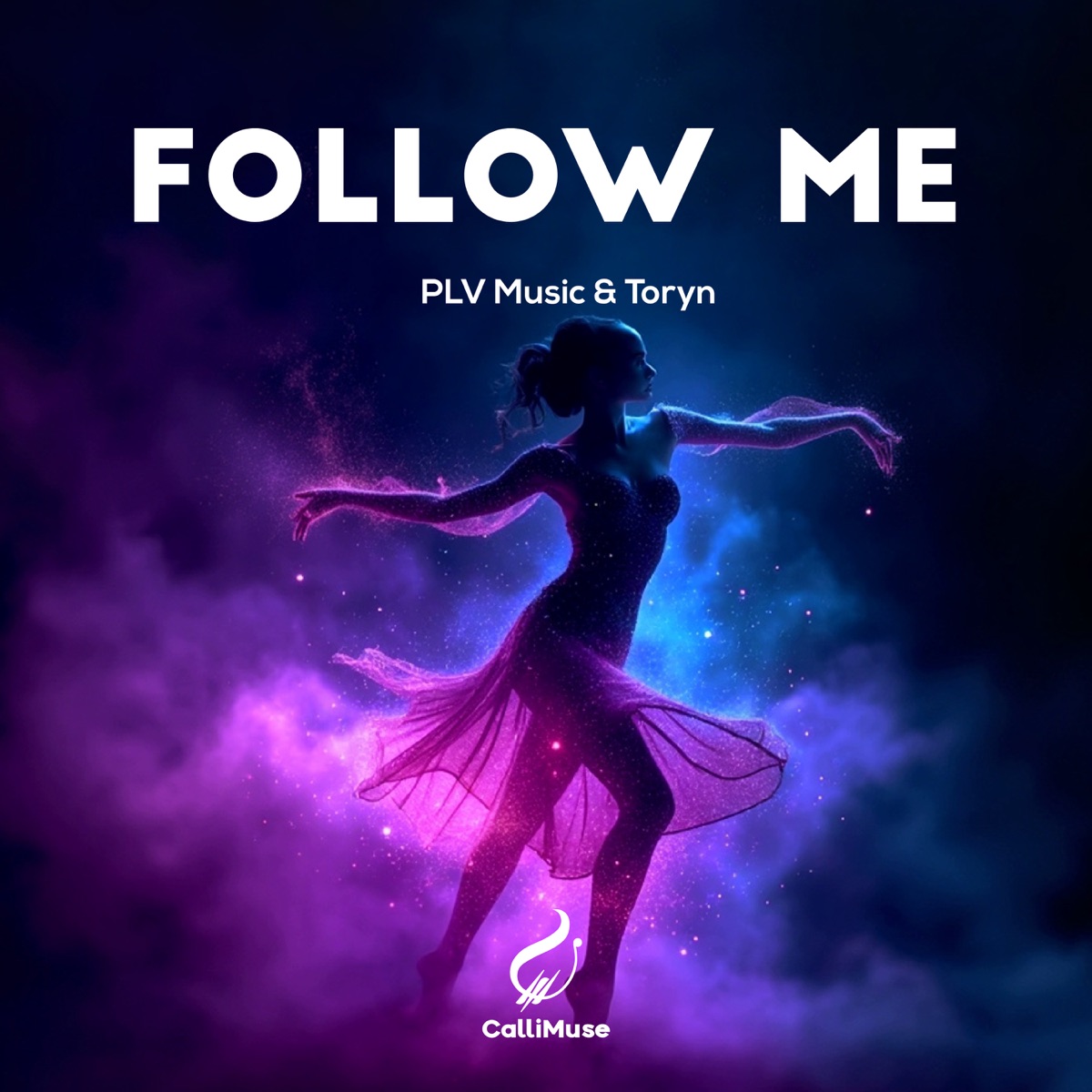 Follow Me - Single by Toryn & PLV Music album cover