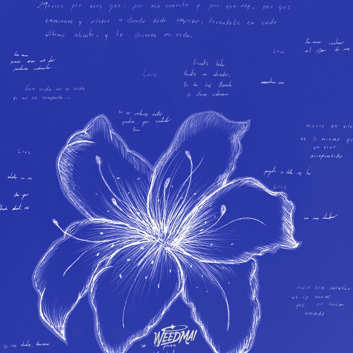 Bésame - Single by Weedmai album cover