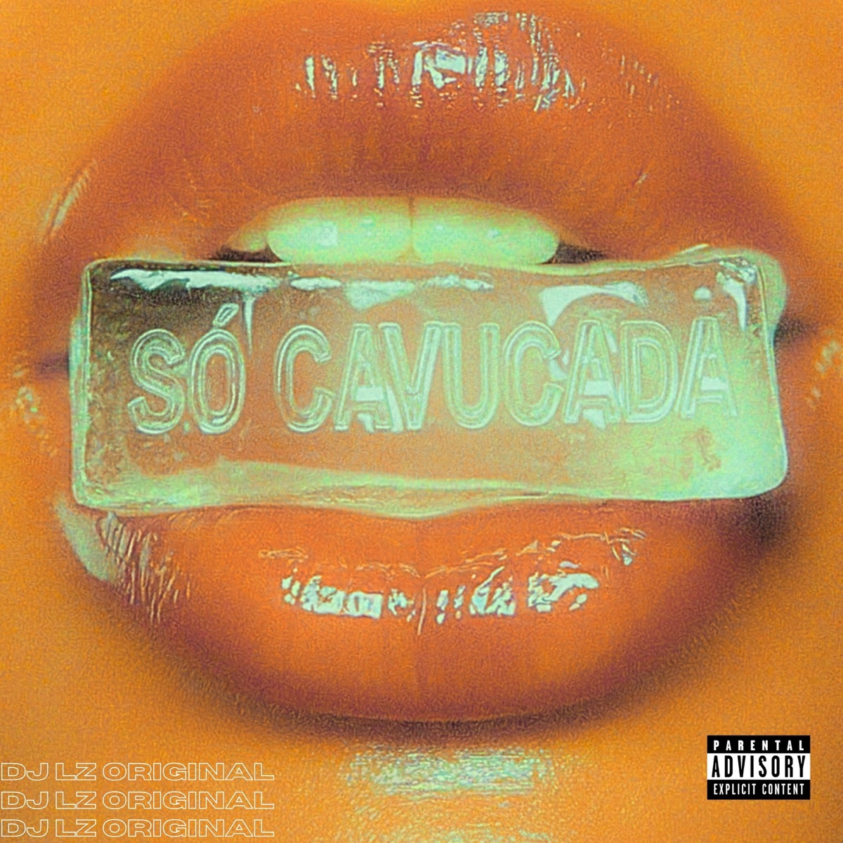 SÓ CAVUCADA - Single by DJ LZ Original album cover