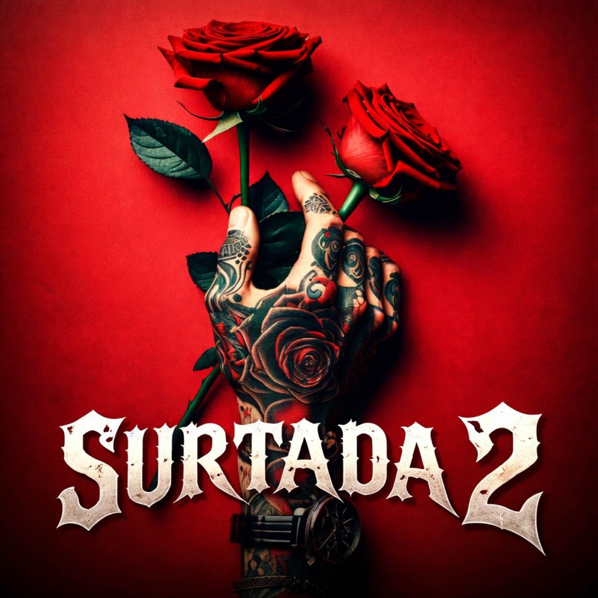 Surtada 2 - Single by Mc Menor da VDS & DJ Biel Mix album cover