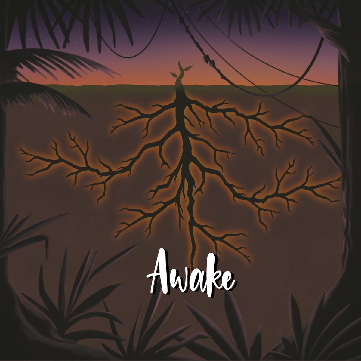 Awake - Single by The Wild Boories album cover