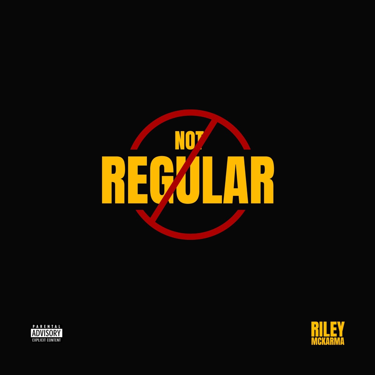NOT REGULAR - Single by Riley Mckarma album cover