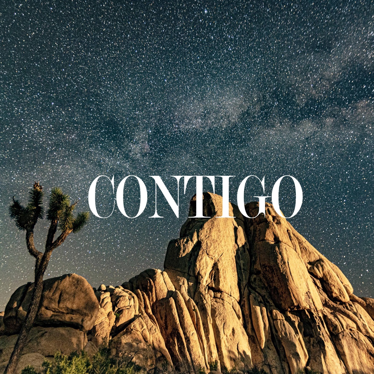 Contigo (Special Version) - Single by sebastian mikel album cover