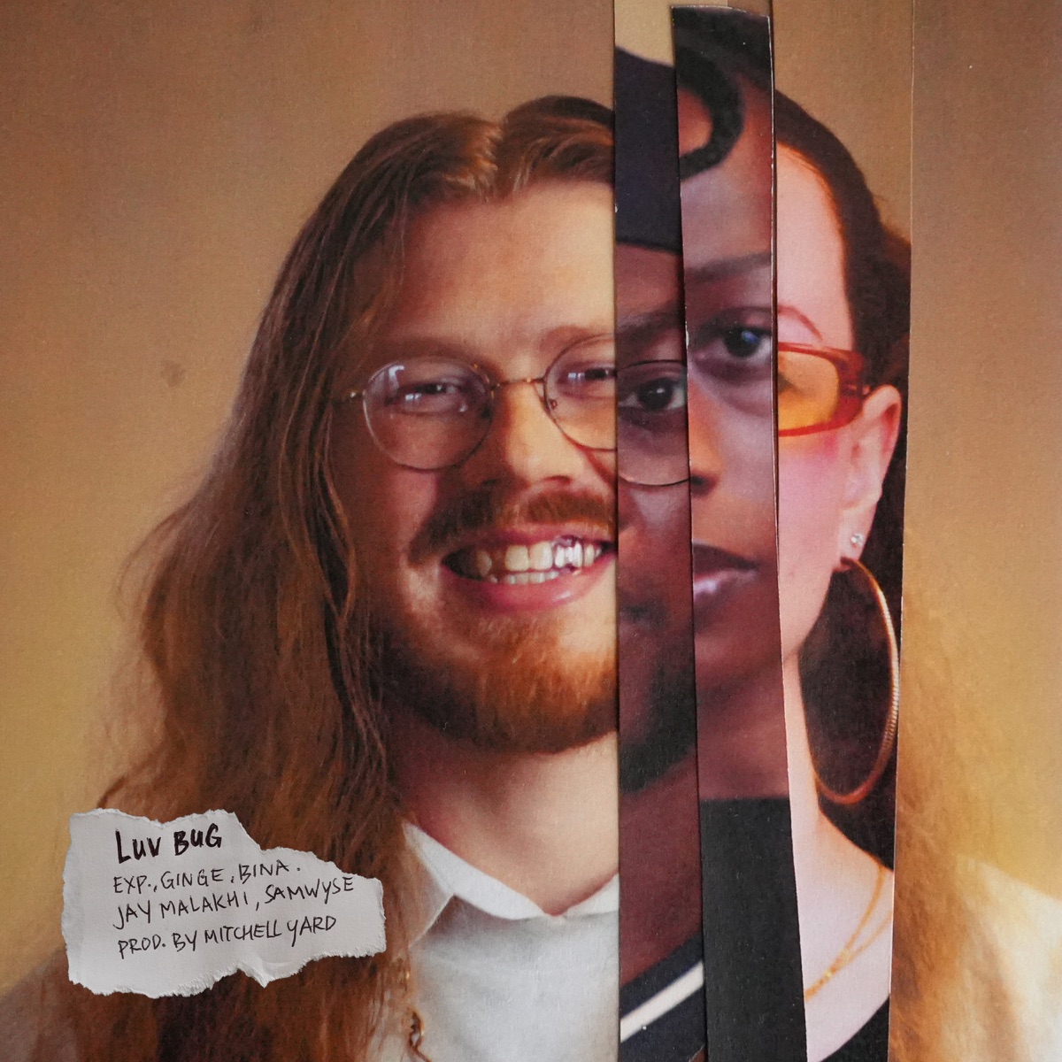 Luv Bug (feat. BINA. & Samwyse) - Single by Exp., Ginge & JAY MALAKHI album cover