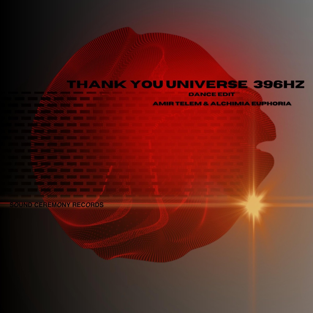 Thank You Universe 396HZ (feat. Amir Telem) [Dance Edit] - Single by Alchimia Euphoria album cover