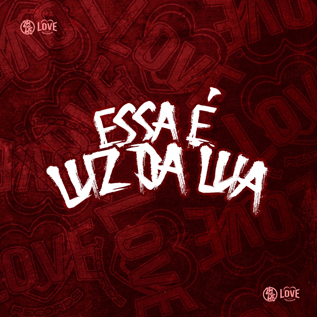 Essa É Luz da Lua - Single by MC Xavier & Oliveira Prod album cover