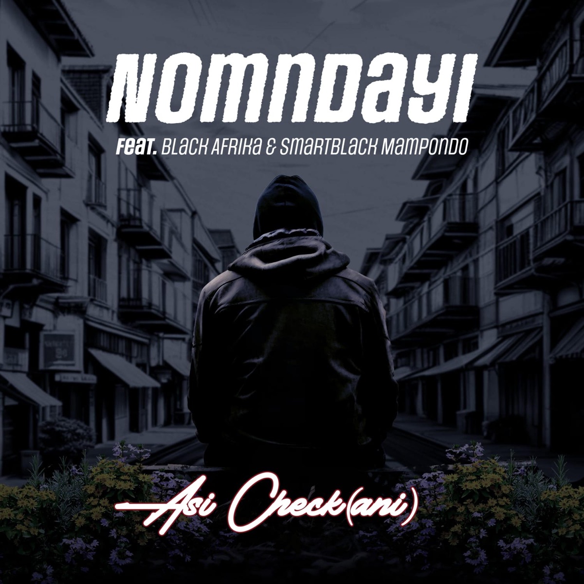 Asi check(ani) (feat. Black Afrika & SmartBlack Mampondo) - Single by Nomndayi album cover
