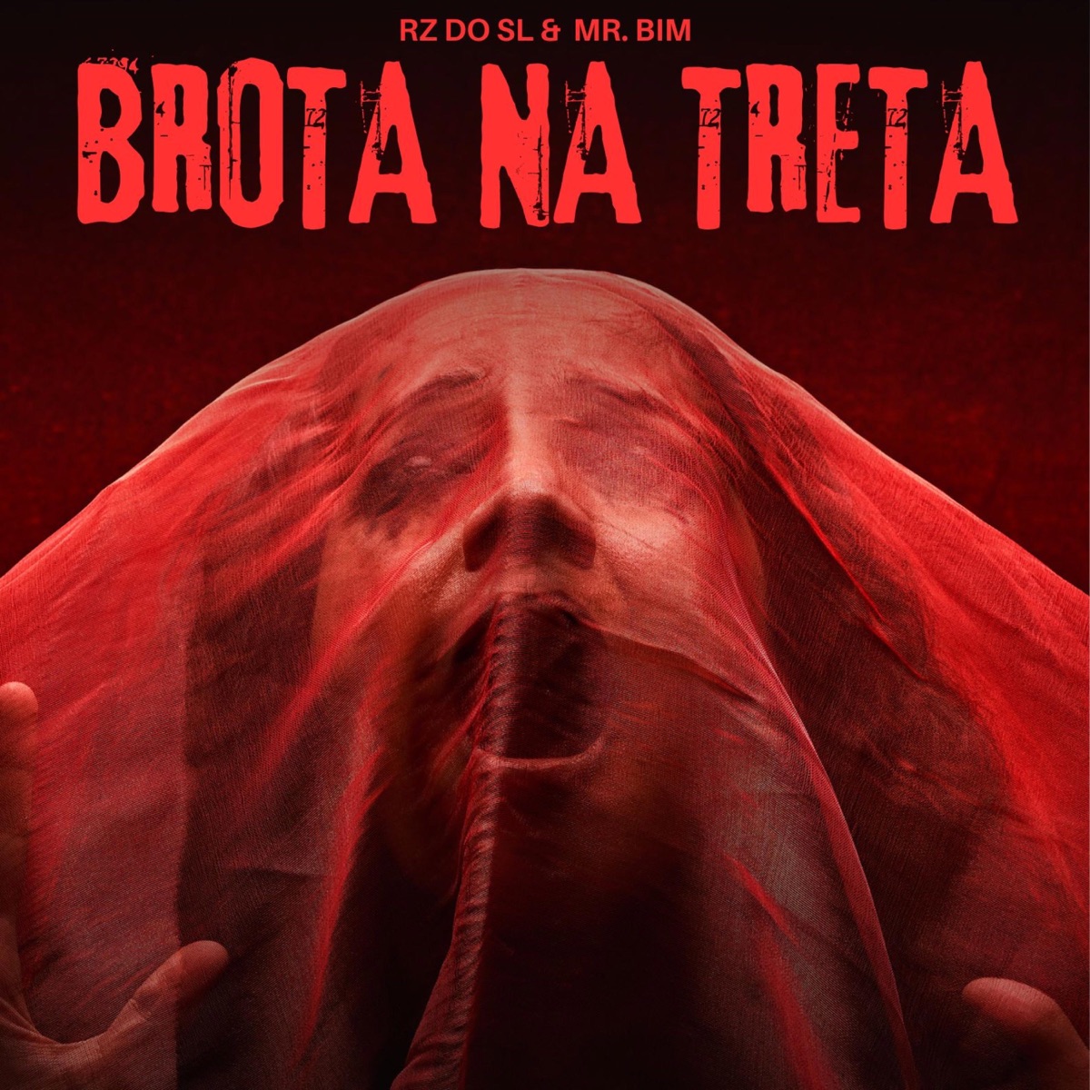 Brota na Treta - Single by DJ RZ DO SL & Mc Mr. Bim album cover