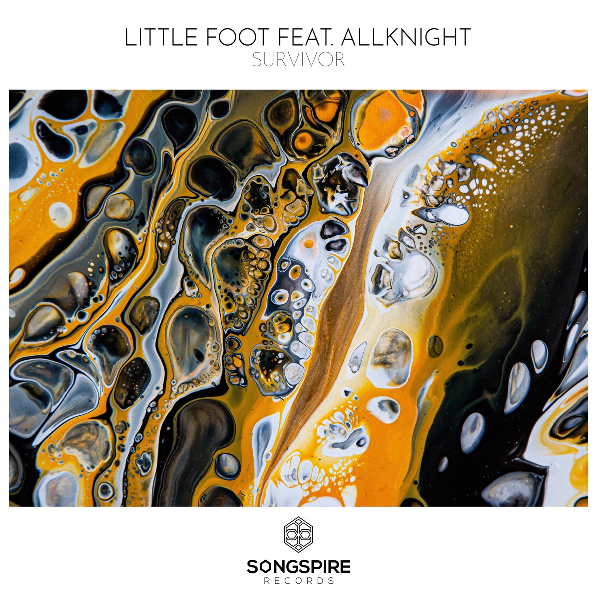 Survivor - Single by Little Foot & ALLKNIGHT album cover