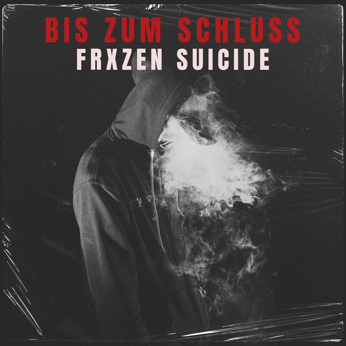 Bis Zum Schluss - Single by FRXZEN SUICIDE album cover