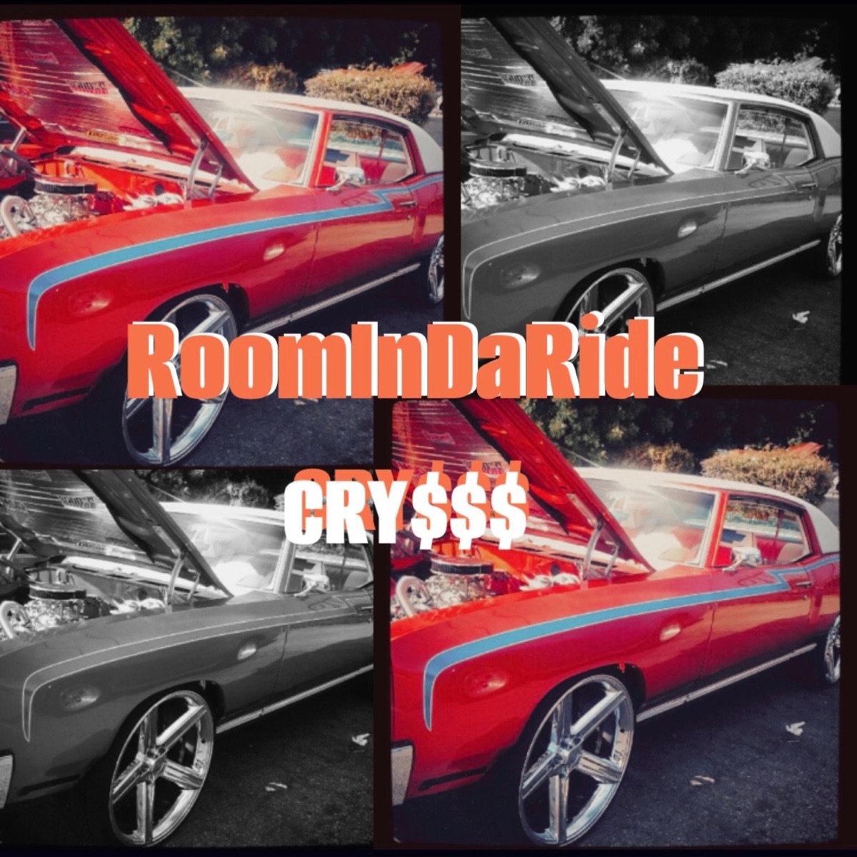 RoomInDaRide - Single by Cry$$$ album cover