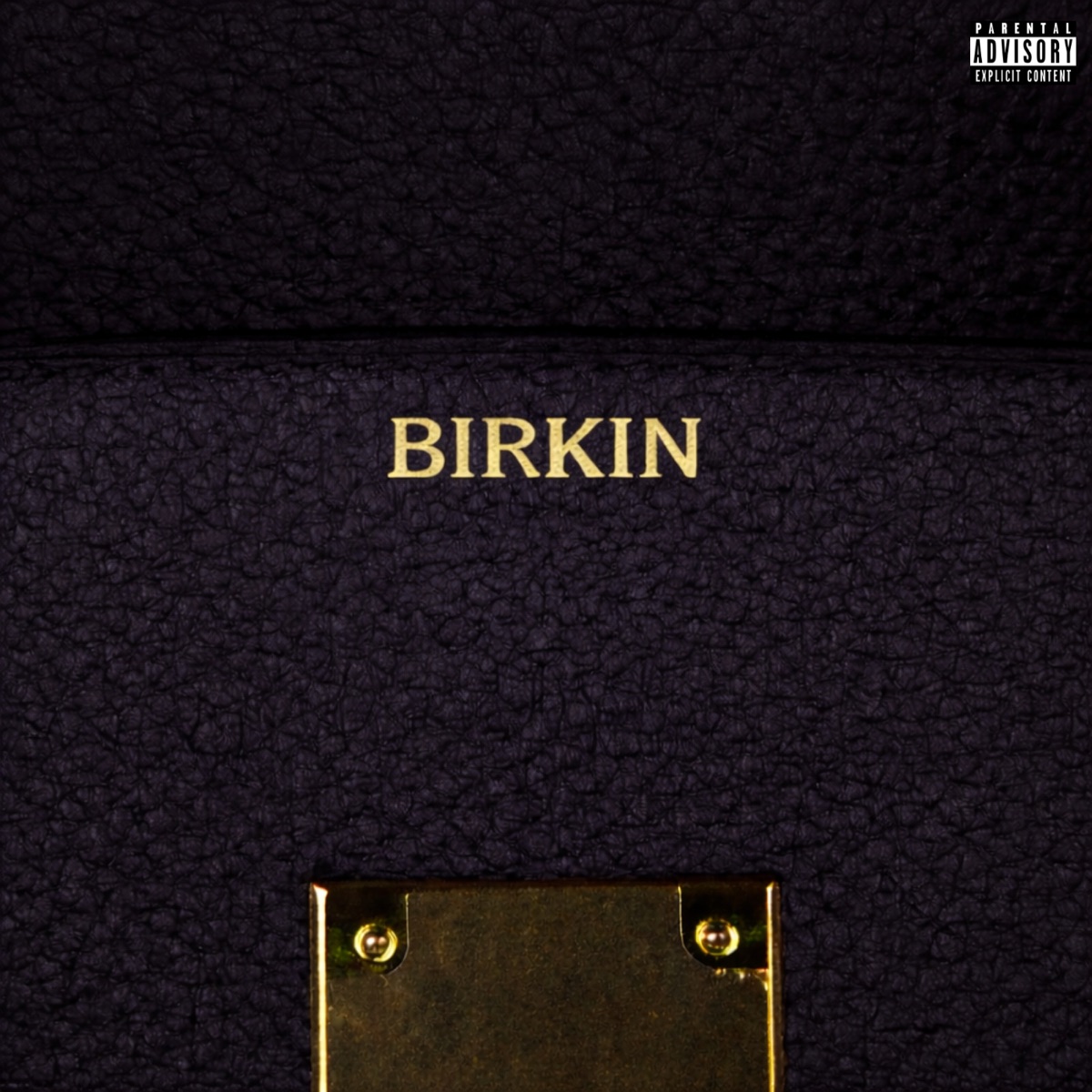 BIRKIN - Single by JapaART & Lucsz album cover