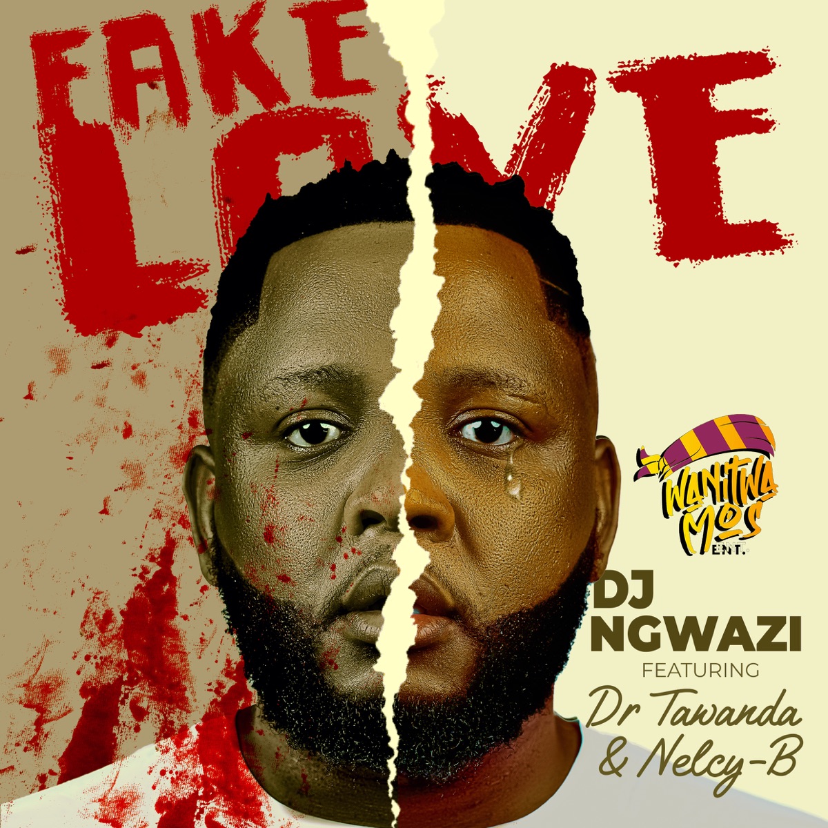 Fake Love (feat. Dr Tawanda & Nelcy-B) - Single by DJ Ngwazi album cover
