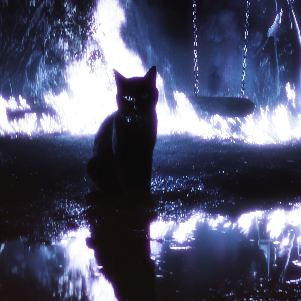 MI GATA - Single by Junior H & Gael Valenzuela album cover artwork