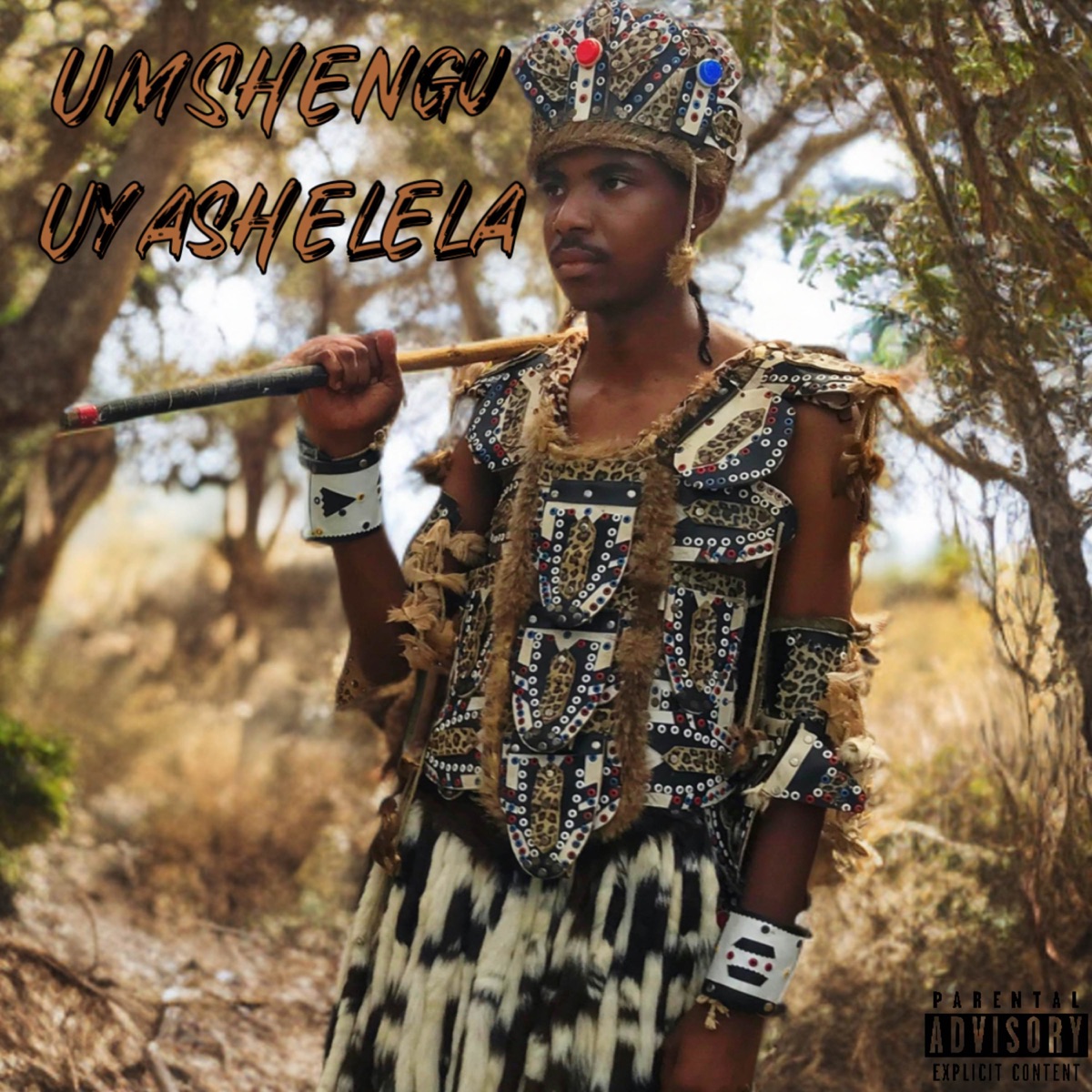 uMshengu Uyashelela - Single by KiD Sauce album cover