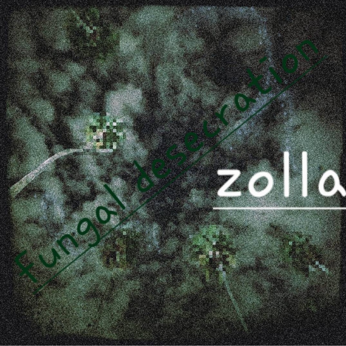 Fungal Desecration - Single by Zolla album cover