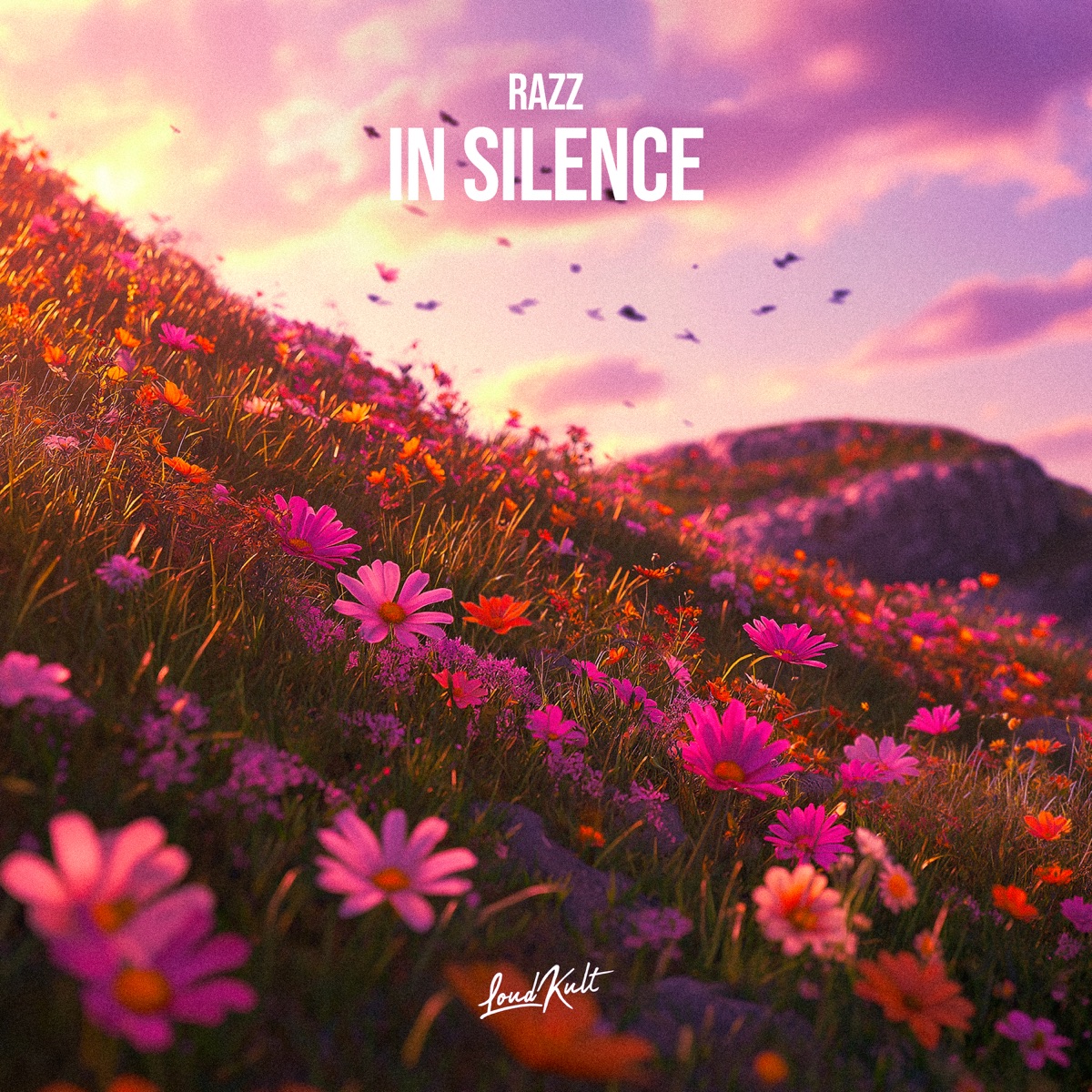 In Silence - Single by Razz album cover