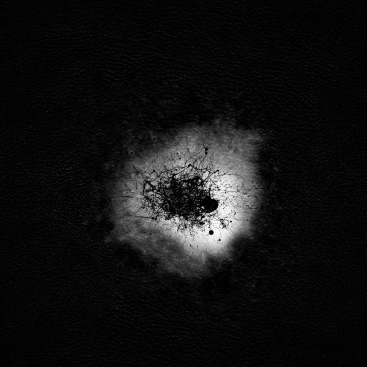 Ради чего? - Single by Yorii album cover