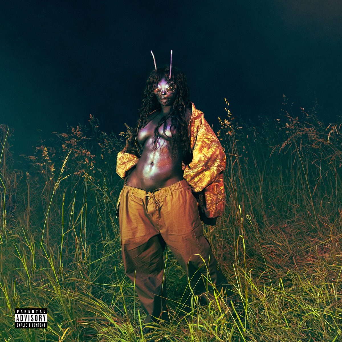 SOS Deluxe: LANA by SZA album cover