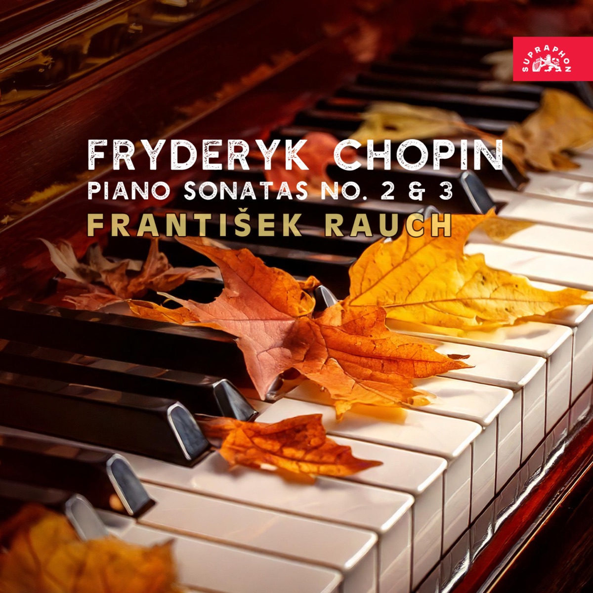 Chopin: Piano Sonatas No. 2 & 3 by František Rauch album cover