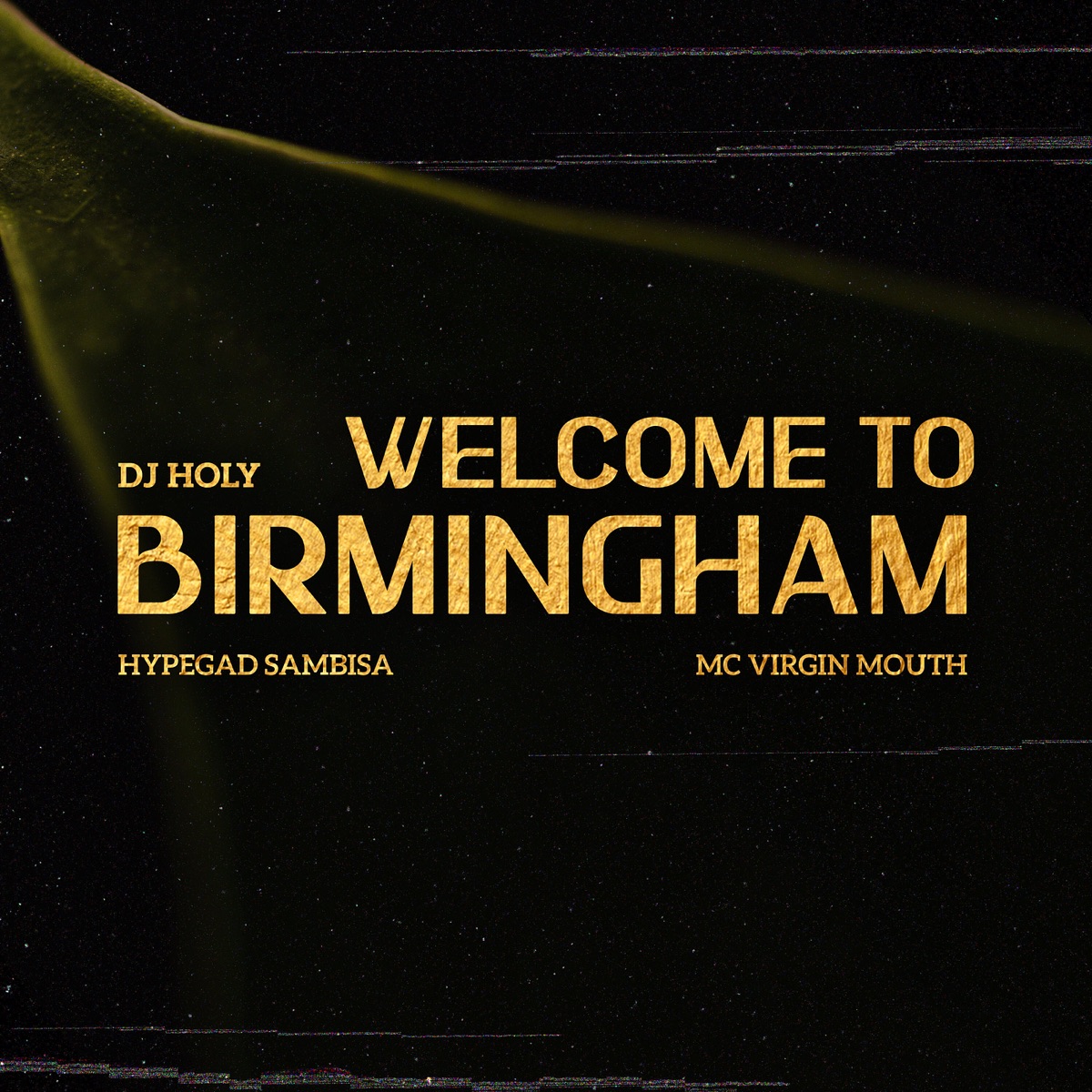 Welcome to Birmingham (feat. Hypegad Sambisa & MC Virgin Mouth) - Single by DJ HOLY album cover