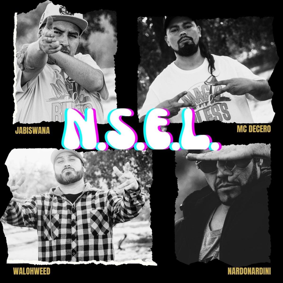 N.S.E.L. (feat. Nardo Nardini, Jabiswana & Waloh Weed) - Single by Mc Decero album cover