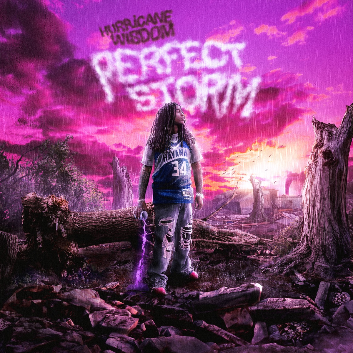 Perfect Storm by Hurricane Wisdom album cover