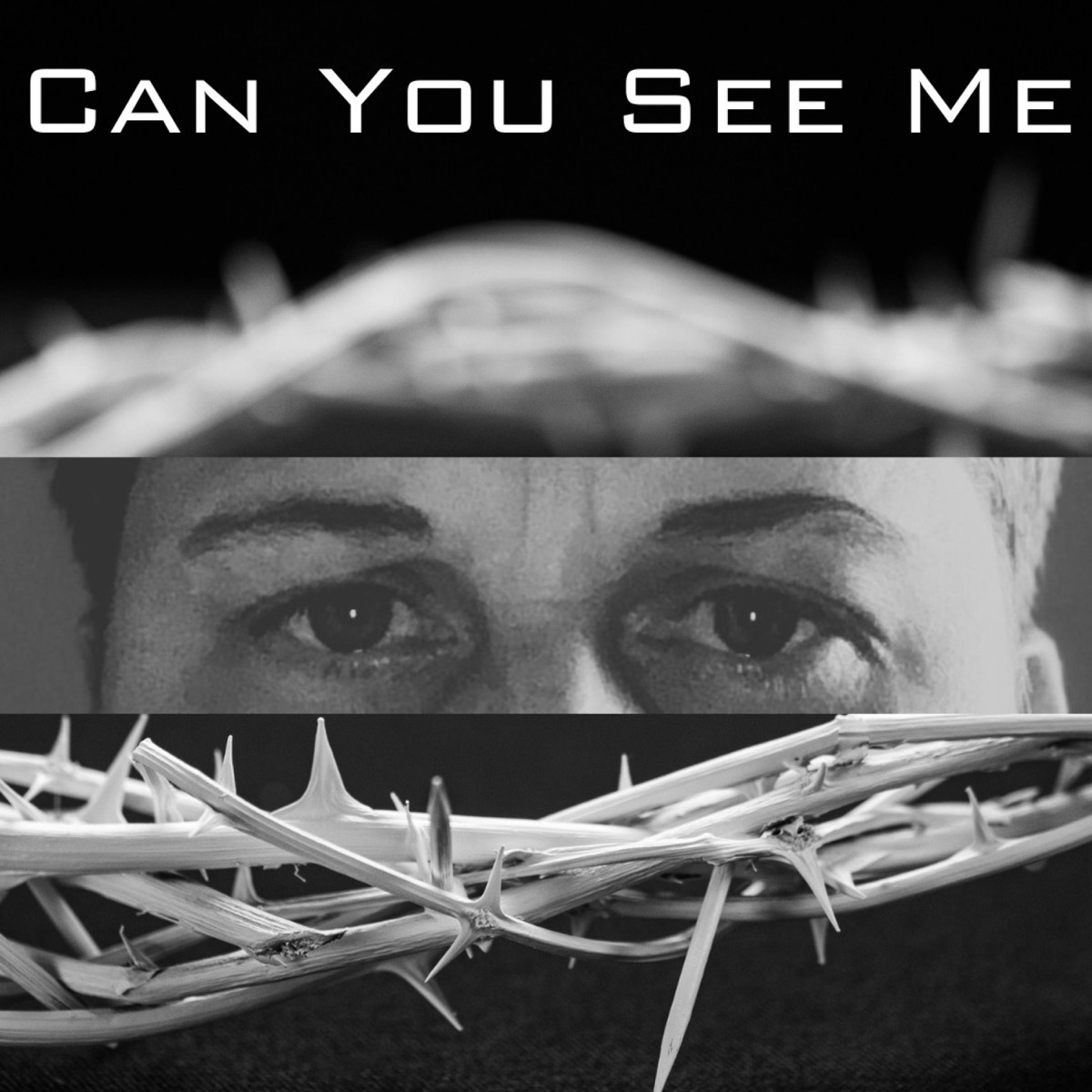 Can You See Me - Single by Jayko The ARkiTekk album cover