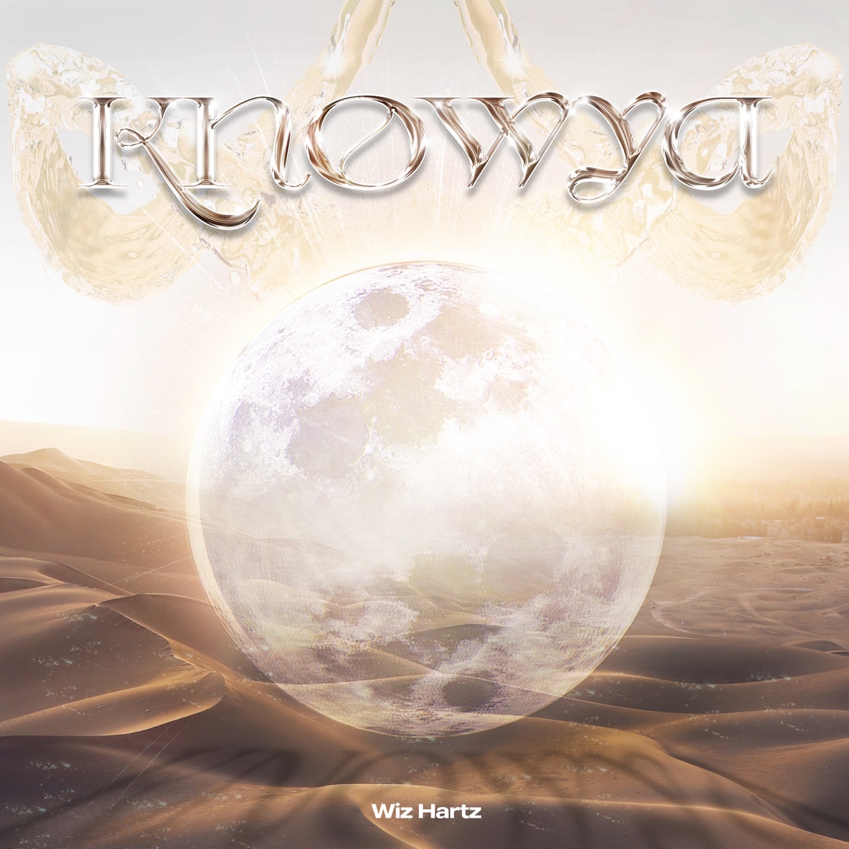 Knowya - Single by Wiz Hartz album cover