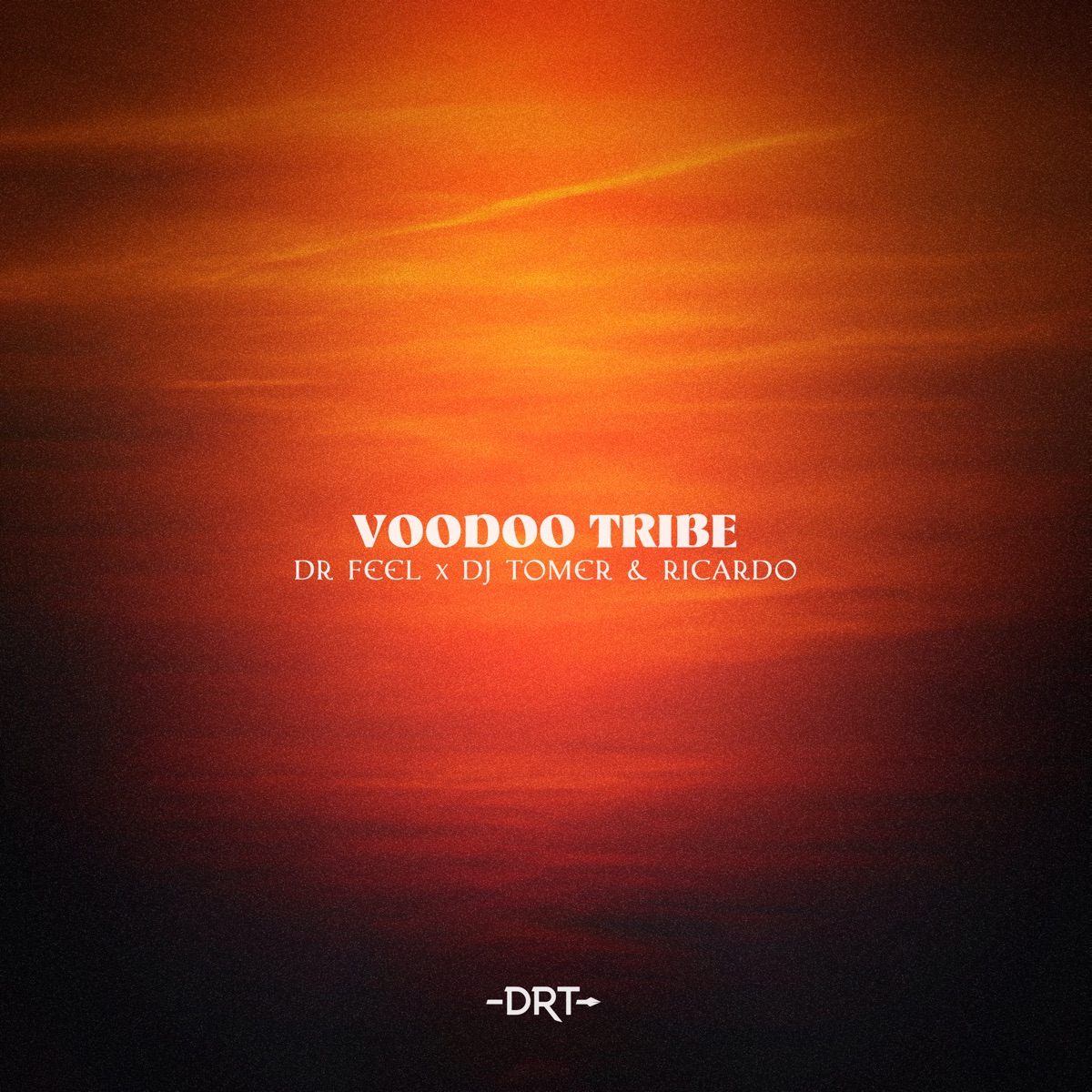 Voodoo Tribe - Single by Dr Feel, DJ Tomer & Ricardo Gi album cover