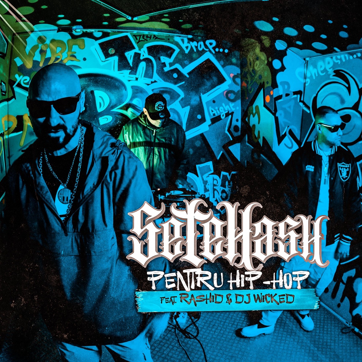 Pentru Hip-Hop (feat. Rashid & DJ WicKeD) - Single by SeTeHash album cover