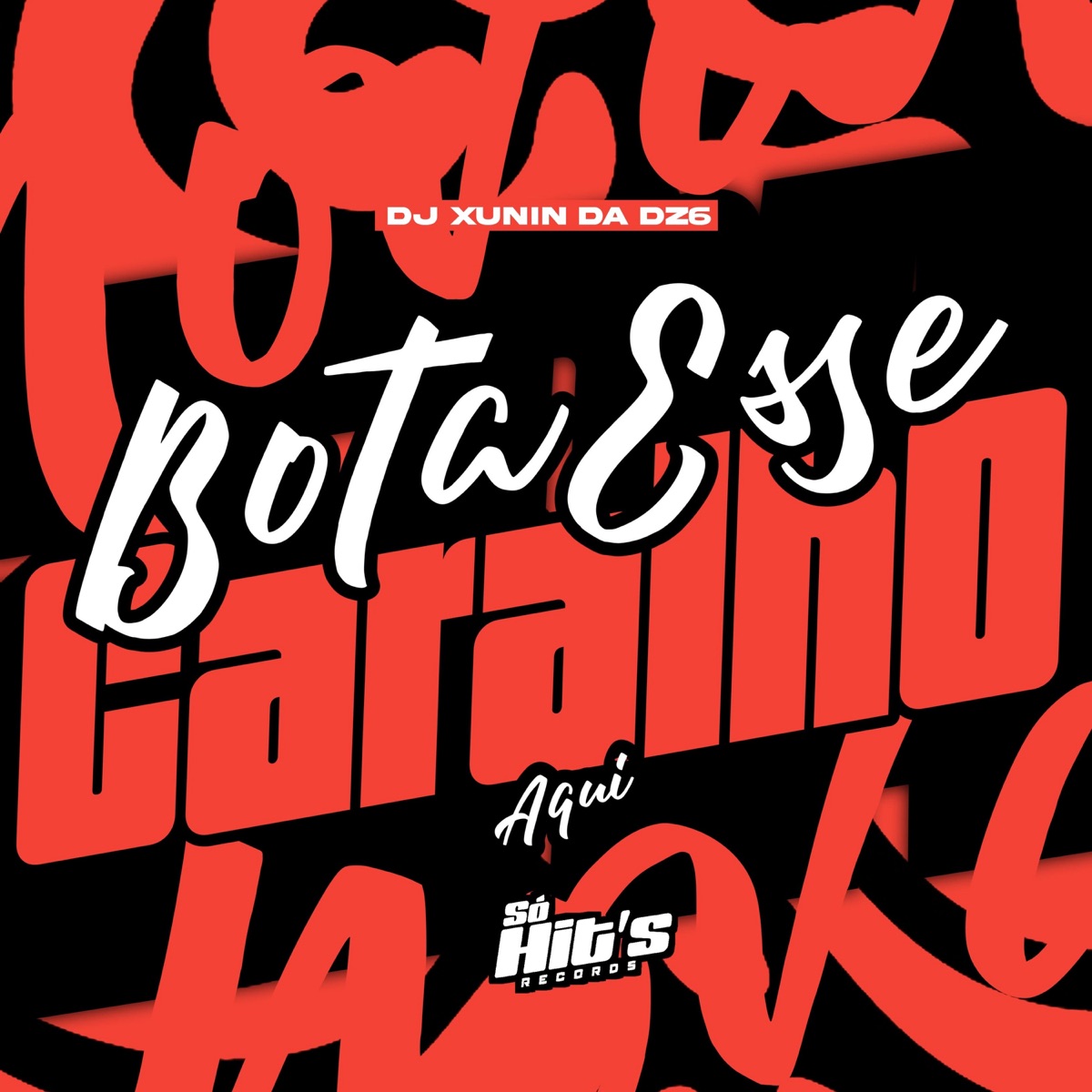 Bota Esse Caralho Aqui - Single by DJ XUNIN DA DZ6 album cover