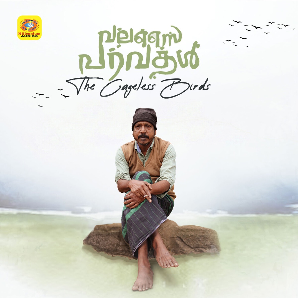 Pambonnumithikkava Pazhuthennu Thandava (From "Valasai Paravakal") [Original Motion Picture Soundtrack] - Single by Resmi Sateesh & Joshy Padamadan album cover
