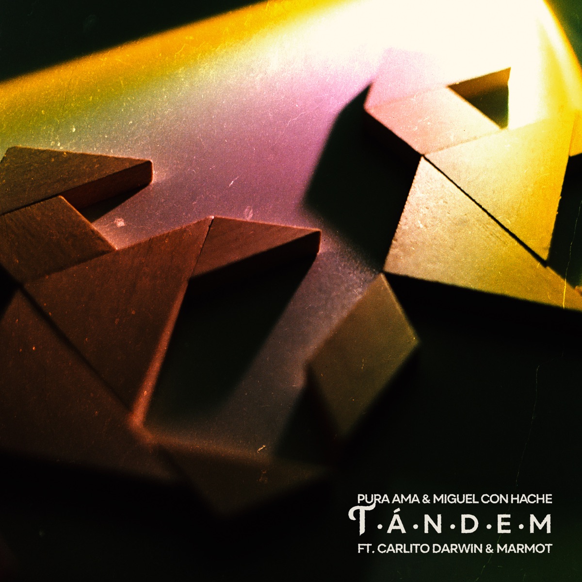 Tándem (feat. Carlito Darwin & Marmot) - Single by PURA AMA & Miguel con Hache album cover