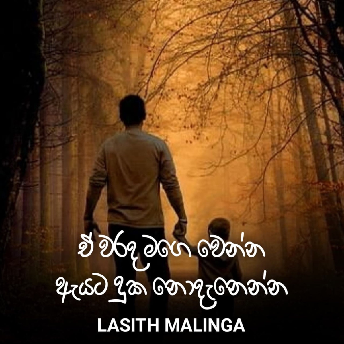 Aa Warada Mage Wanna Ayata Duka Nodanenan - Single by Lasith Malinga album cover