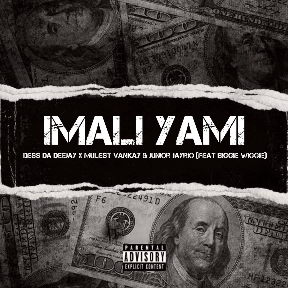 Imali Yami (feat. Biggie Wiggie) - Single by Dess Da Deejay, Mulest & Vankay & Junior Jayrio album cover