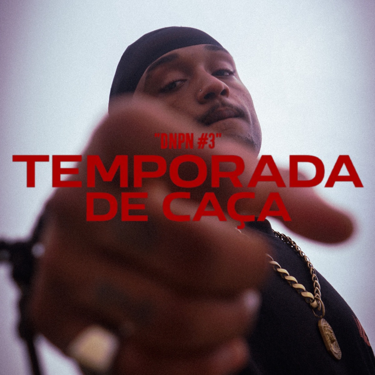 DNPN #3 - TEMPORADA DE CAÇA - Single by DaSiria & Haidden album cover