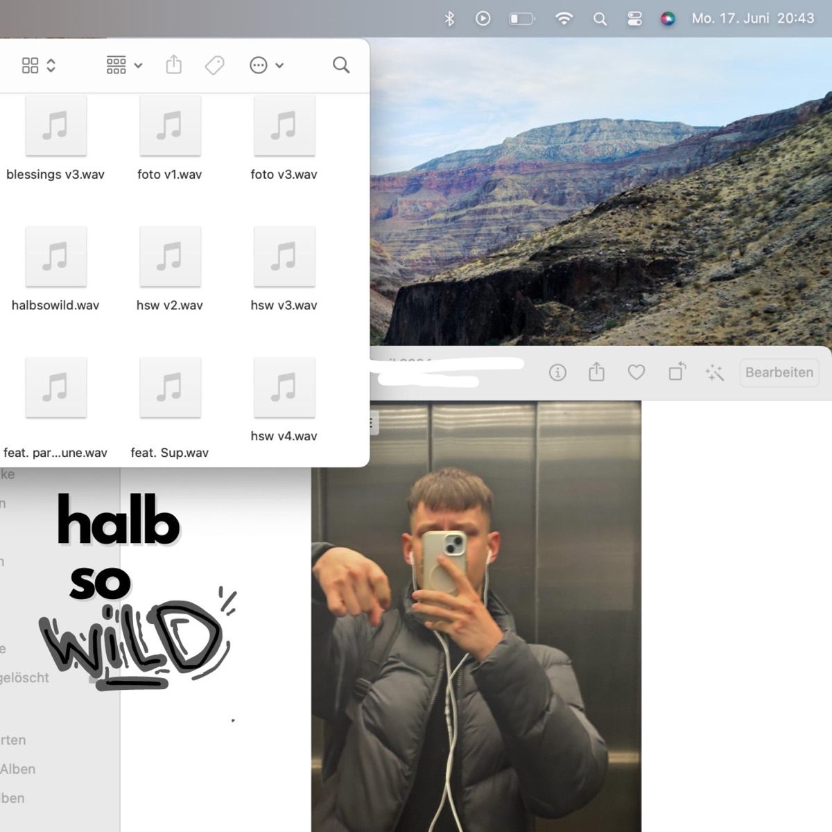 halb so wild - Single by Young Sup album cover