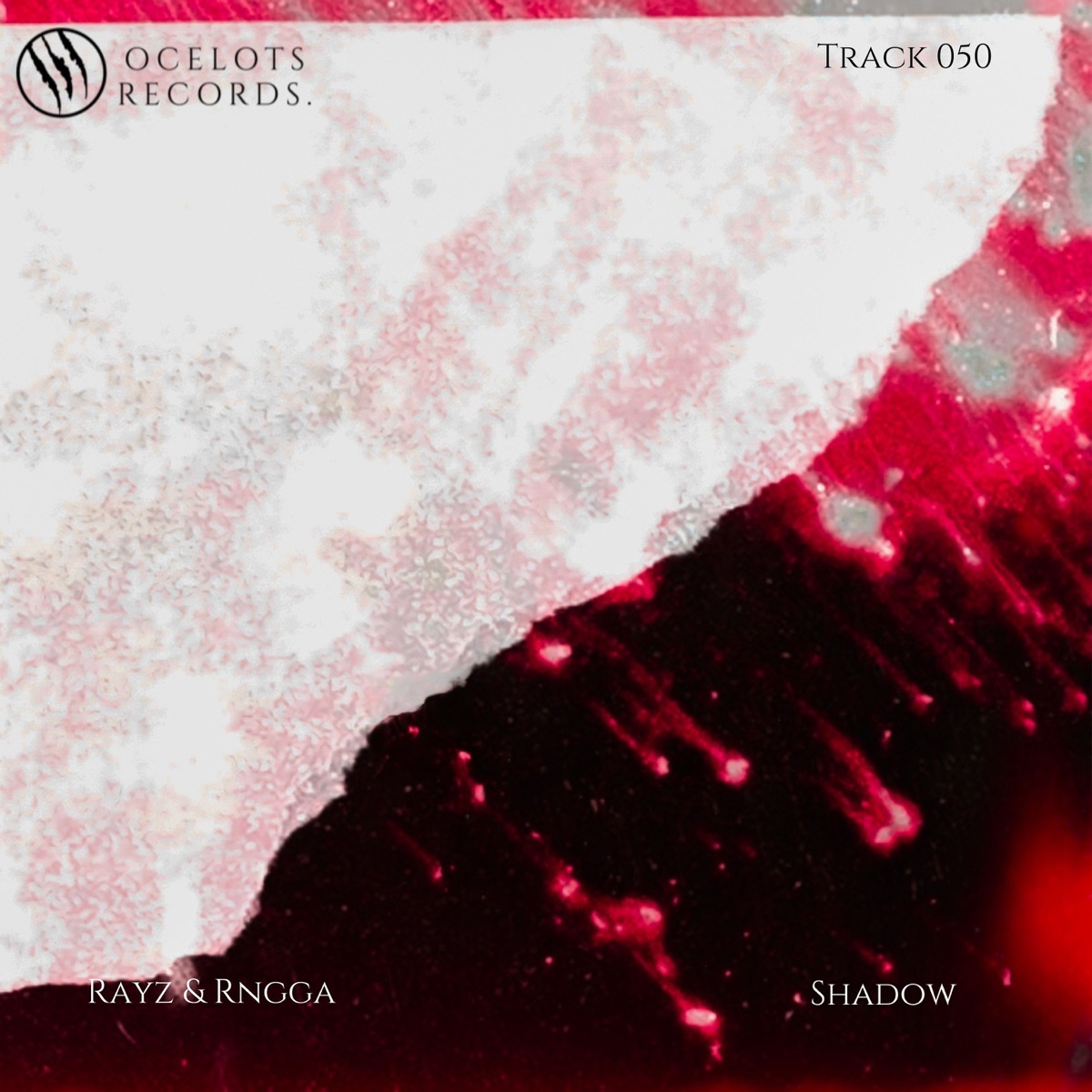 Shadow - Single by Rayz & Rngga album cover