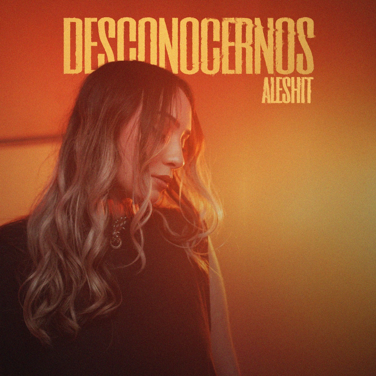 Desconocernos - Single by Aleshit album cover